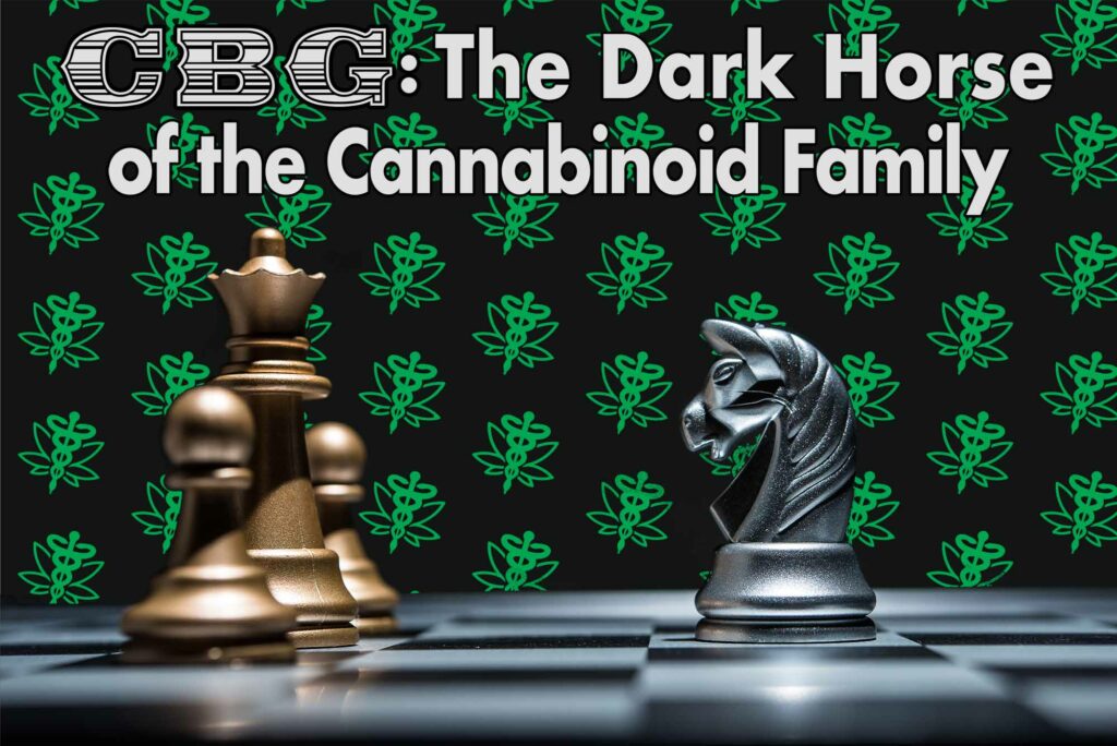 CBG – The Dark Horse of the Cannabinoid Family